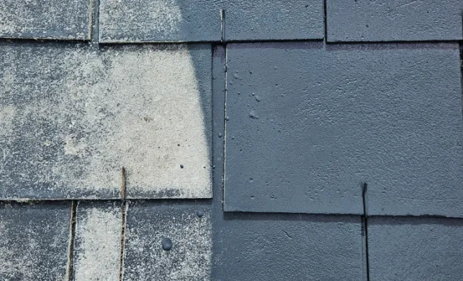 Rénovation d'une toiture en peinture à Loches, Loches, BOISBOURDIN (SARL)