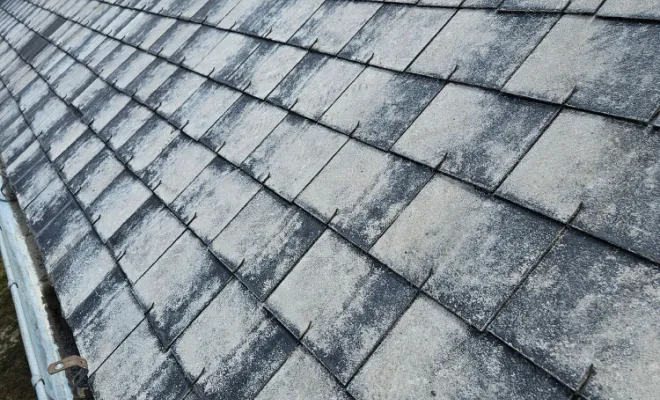 Rénovation d'une toiture en peinture à Loches, Loches, BOISBOURDIN (SARL)