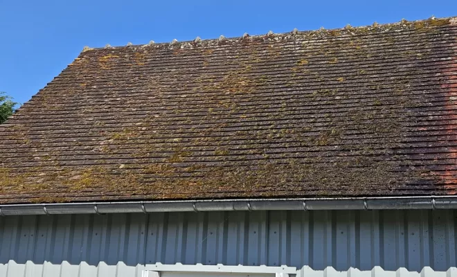 Nettoyage de Toiture à Perrusson, Loches, BOISBOURDIN (SARL)